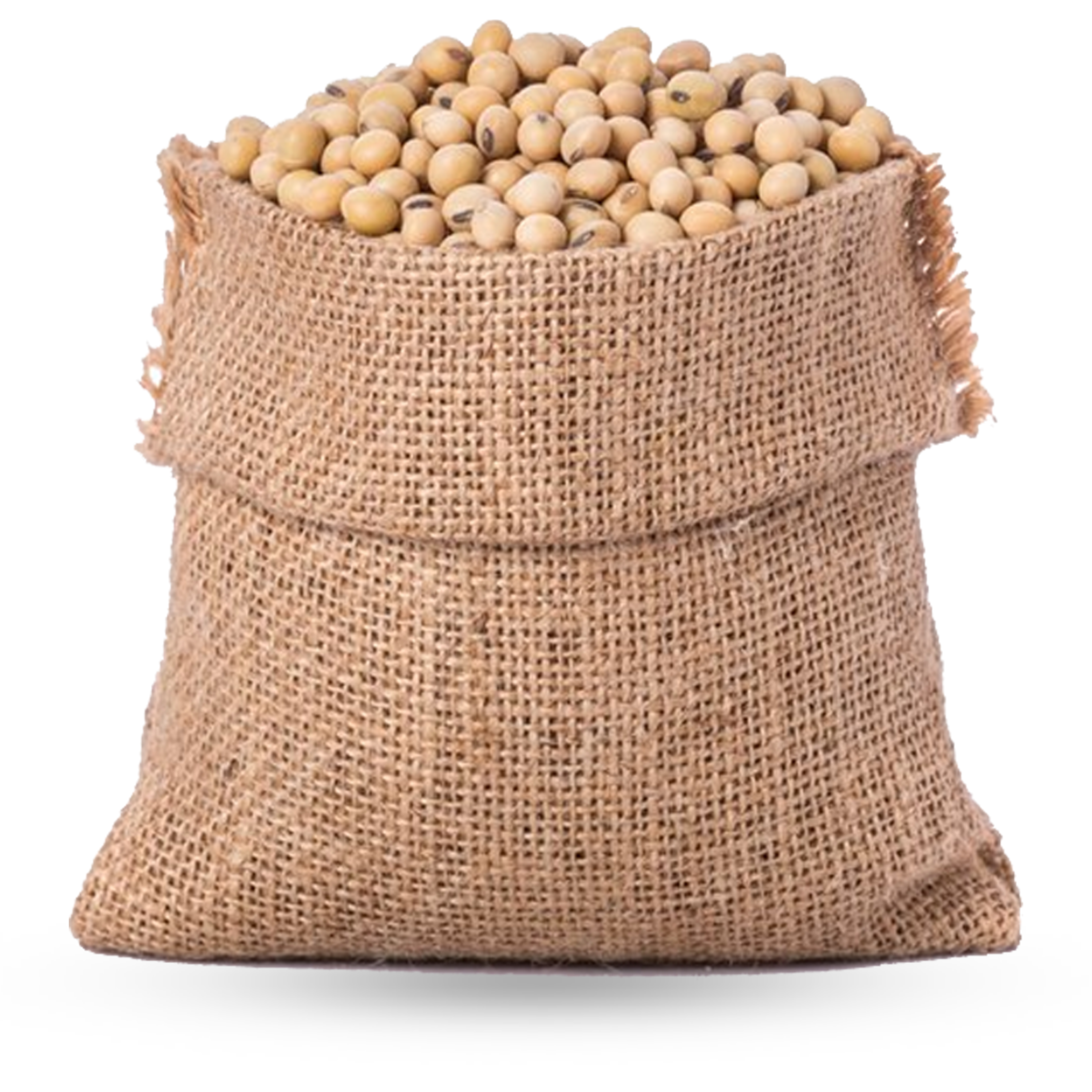 Soya